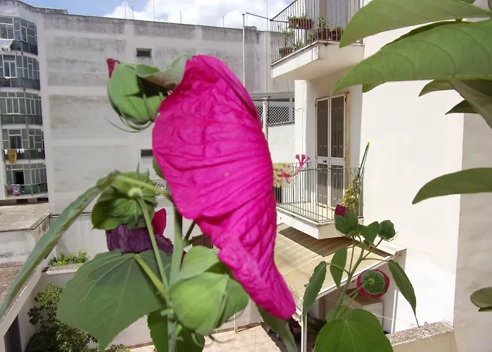 B&B La Fontanella Lecce